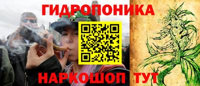 ешки Гагарин
