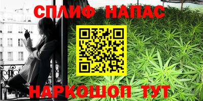 ешки Гагарин