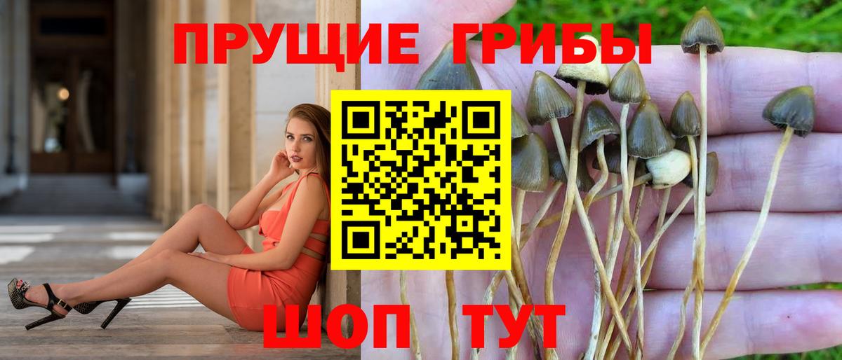 Псилоцибиновые грибы ЛСД Кашира