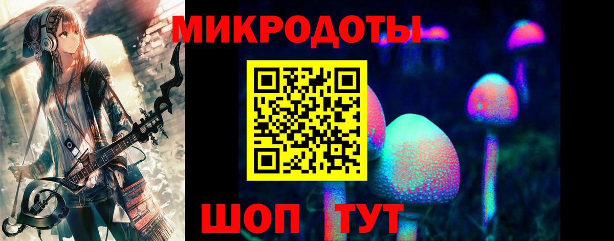 Кашира  Псилоцибиновые грибы ЛСД  Вход с VPN  Псилоцибиновые грибы Cubensis 